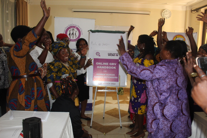 The online GBV handbook being launched